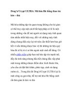 Drag’n''''Crypt ULTRA: Mã hóa file bằng thao tác kéo – thả ppt
