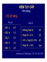 Viêm tụy cấp và mãn tính part 5 pdf