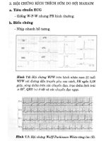 Sổ tay điện tâm đồ part 6 pdf