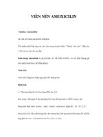 VIÊN NÉN AMOXICILIN doc