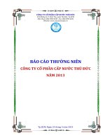 BÁO cáo THƯỜNG NIÊN CÔNG TY cổ PHẦN cấp nước THỦ đức năm 2013