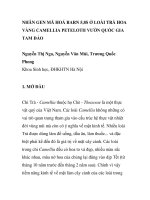 BÁO CÁO KHOA HỌC: 