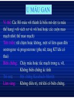 Chẩn doán hình ảnh : U Gan part 2 doc