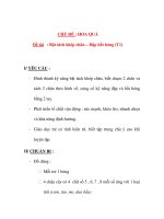 Giáo án chương trình đổi mới CHỦ ĐỀ : HOA QUẢ Đề tài : Bật tách khép chân – Đập bắt bóng ppt