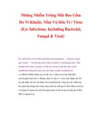 Những Nhiễm Trùng Mắt Bao Gồm Do Vi Khuẩn, Nấm Và Siêu Vi / Virus (Eye Infections, Including Bacterial, Fungal & Viral) ppsx