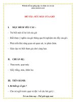 Giáo án chương trình mới: Lớp Chồi ĐỀ TÀI : SỨC ĐẨY CỦA GIÓ pps