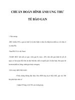 CHUẨN ĐOÁN HÌNH ẢNH UNG THƯ TẾ BÀO GAN pot