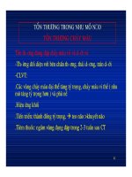 HÌNH ẢNH CẮT LỚP VI TÍNH CHẤN THƯƠNG SỌ NÃO part 9 pps