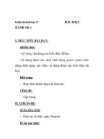 Giáo án tin học 9: HÀNH SỐ 4 BÀI THỰC pptx