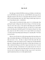 Đánh giá vai trò của thông số EE trên siêu âm tim gắng sức với dobutamin trong chẩn đoán bệnh tim thiếu máu cục bộ