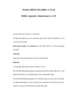 NANG MỀM VITAMIN A VÀ D doc