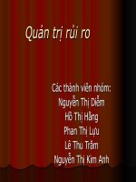 QUẢN TRỊ RỦI RO VINASHIN pdf
