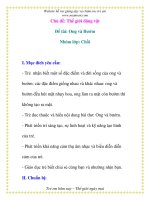 Giáo án chương trình mới: Lớp Chồi Chủ đề: Thế giới ppsx