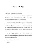 MÔ VÀ MÔ HỌC potx