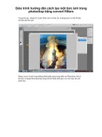 Giáo trình hướng dẫn cách tạo một bức ảnh trong photoshop bằng convert fillters phần 1 pot