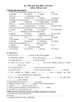 KỲ THI THỬ ĐẠI HỌC NĂM 2011 MÔN: TIẾNG ANH potx
