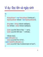 Lập trình Java cơ bản : Luồng và xử lý file part 6 pptx