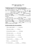 ĐỀ ÔN THI TN NĂM 2011 – ĐỀ 3 MÔN: TIẾNG ANH pps