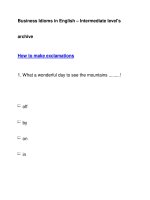 Business Idioms in English – Intermediate level''''sarchiveHow to make exclamations pdf