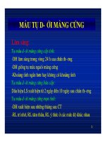 HÌNH ẢNH CẮT LỚP VI TÍNH CHẤN THƯƠNG SỌ NÃO part 5 potx