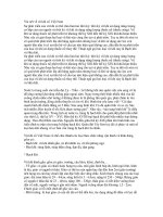 Vài nét về vũ khí cổ Việt Nam pptx