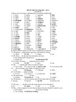 ĐỀ ÔN THI TN NĂM 2011 – SỐ 4 (CÓ ĐÁP ÁN) docx