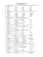 ĐỀ LUYỆN THI ĐẠI HỌC – SỐ 33 MÔN: TIẾNG ANH pps