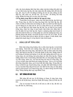 Giáo trình : Khoa học Trồng và chăm sóc rừng part 4 ppsx