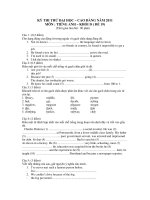 KỲ THI THỬ ĐẠI HỌC – CAO ĐẲNG NĂM 2011 MÔN : TIẾNG ANH – KHỐI D ( ĐỀ 19) ppt