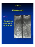 Chẩn đoán bằng hình ảnh : Siêu âm bụng part 9 ppt