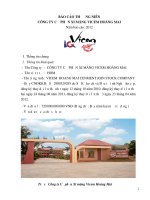 BÁO cáo THƯỜNG NIÊN CÔNG TY cổ PHẦN XI MĂNG VICEM HOÀNG MAI năm báo cáo 2012
