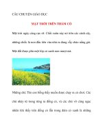 CÂU CHUYỆN GIÁO DỤC MẶT TRỜI TRÊN THẢM CỎ pot