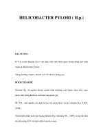 HELICOBACTER PYLORI ( H.p.) pot