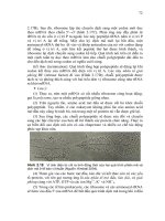 Giáo trình di truyền học và vi sinh vật ứng dụng part 4 doc