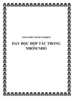skkn dạy học hợp tác trong nhóm nhỏ