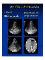 Chẩn doán hình ảnh : Cấp cưu bụng part 10 pps