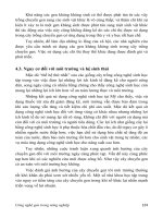 GIÁO TRÌNH CÔNG NGHỆ GEN TRONG NÔNG NGHIỆP part 10 pptx