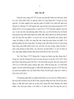 Nghiên cứu mối liên quan giữa khối u với mức độ xâm lấn vào mạc treo của ung thư trực tràng