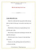 Giáo án chương trình mới: Lớp lá Mặt trời, mặt trăng và các vì sao docx