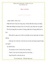 Giáo án chương trình mới: Lớp Chồi Ong và các ppt