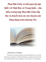 Phan Bội Châu và mối quan hệ mật thiết với Nhật Bản và Trung Quốc ppsx