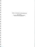 công ty cổ phần xi măng bỉm sơn báo cáo tài chính cho kỳ kế toán từ 1 tháng 1 năm 2010 đến 30 tháng 6 năm 2010 được soát xét của công ty kiểm toán