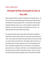 triết học Mác-lênin:mối quan hệ biện chứng giữa lý luận và thực tiễnQuan pot