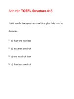 Anh văn TOEFL Structure-045 ppsx