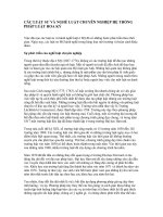 CÁC LUẬT SƯ VÀ NGHỀ LUẬT CHUYÊN NGHIỆP HỆ THỐNG PHÁP LUẬT HOA KỲ ppsx