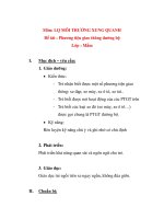 Môn: LQ MÔI TRƯỜNG XUNG QUANH Đề tài : Phương tiện giao thông đường bộ ppsx