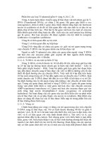 CƠ SỞ DI TRUYỀN CHỌN GIỐNG THỰC VẬT part 9 pps