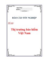 Báo cáo tốt nghiệp: Thị trường bảo hiểm Việt Nam pps