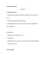 Giáo án chương trình đổi mới Làm quen chữ viết: Chữ G, Y ppsx