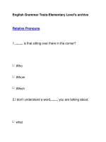 English Grammar Tests-Elementary Level''''s archiveRelative Pronouns docx